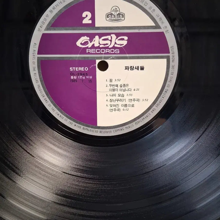 [BUNJANG] Parangsaedeul (Blue Birds) - Forgotten Name LP / 파랑새들LP 89년초반 잊혀진 이름으로 NM