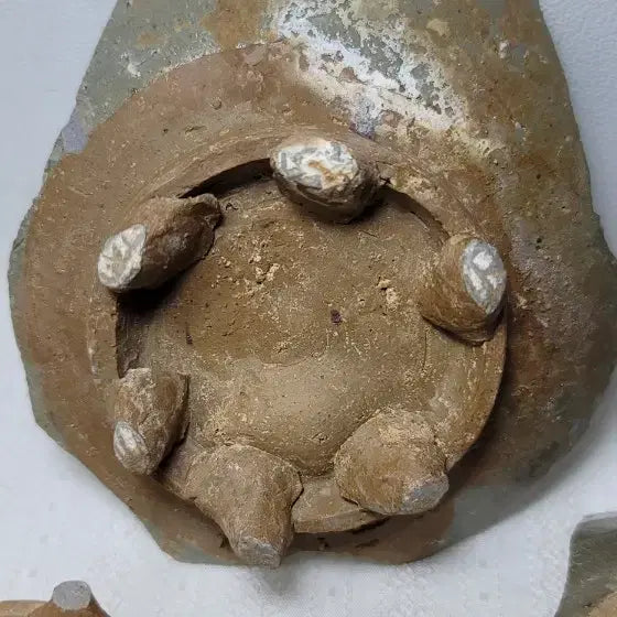 [BUNJANG] Buncheong Sagi Celadon Porcelain Fragments / 분청사기내섬문 굽도편4점