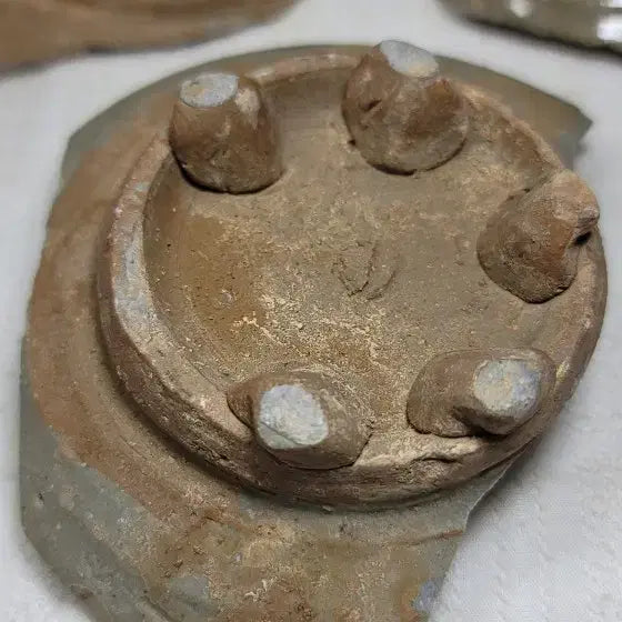 [BUNJANG] Buncheong Sagi Celadon Porcelain Fragments / 분청사기내섬문 굽도편4점