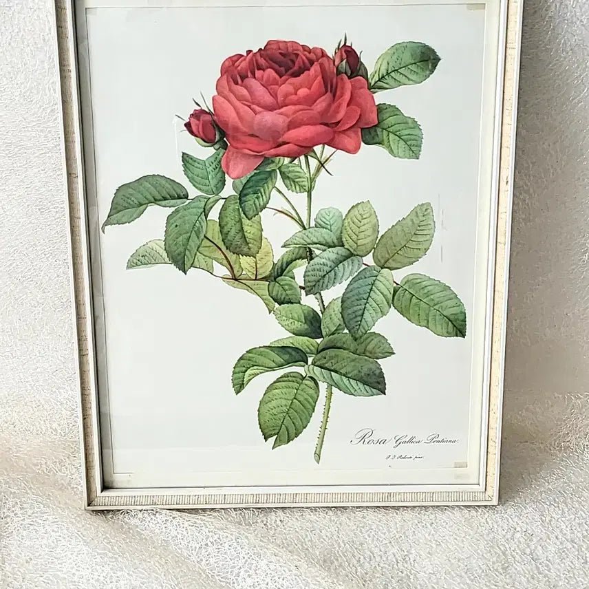 [BUNJANG] Vintage Rose Frame / 빈티지 로즈 프레임