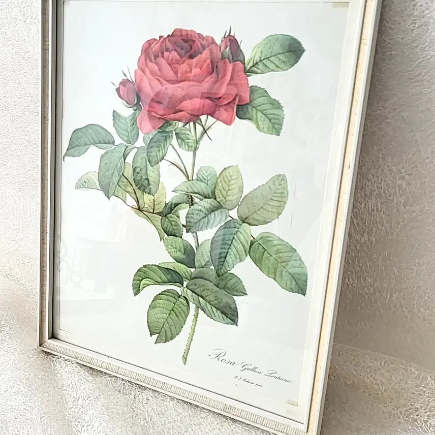 [BUNJANG] Vintage Rose Frame / 빈티지 로즈 프레임
