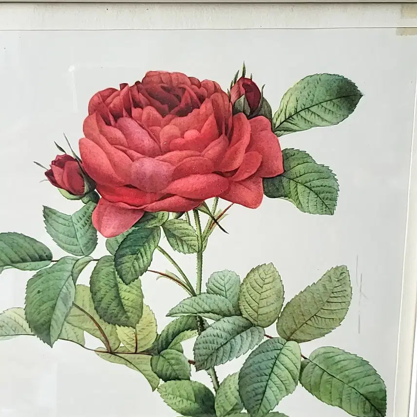 [BUNJANG] Vintage Rose Frame / 빈티지 로즈 프레임