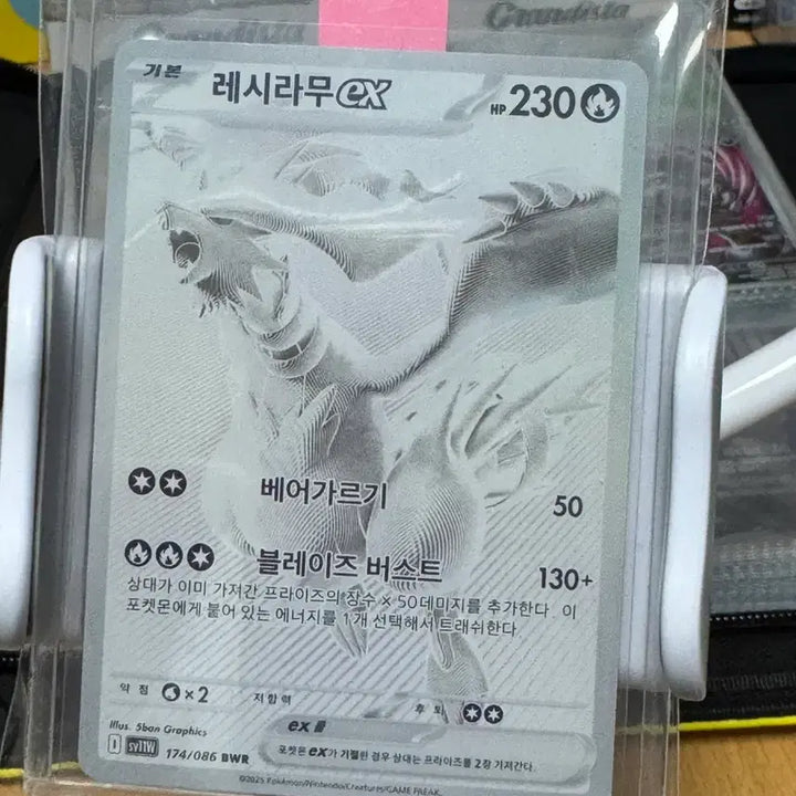 [BUNJANG] 레시라무 BWR / 레시라무 BWR