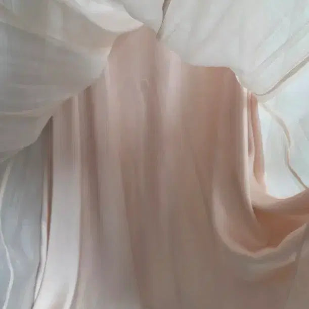 [BUNJANG] Lookast Alice Sheer Dress M / 룩캐스트 앨리스 시스루 원피스 M