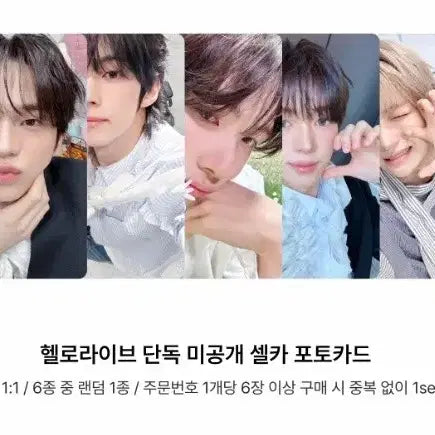 [BUNJANG] TWS HELLO Live Photocard POB / TWS 투어스 널따라가 헬로라이브 포카 미공포 판매