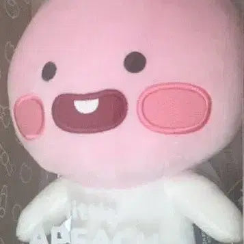 [BUNJANG] Kakao Friends Little Apeach Plush Toy (Sealed) / 카카오프렌즈 리틀 어피치 봉제인형 정품 미개봉 새상품