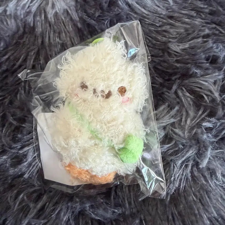 [SOLD OUT] 하츠투하츠 하뀨하 인형 이안 정땅콩 [미개봉]