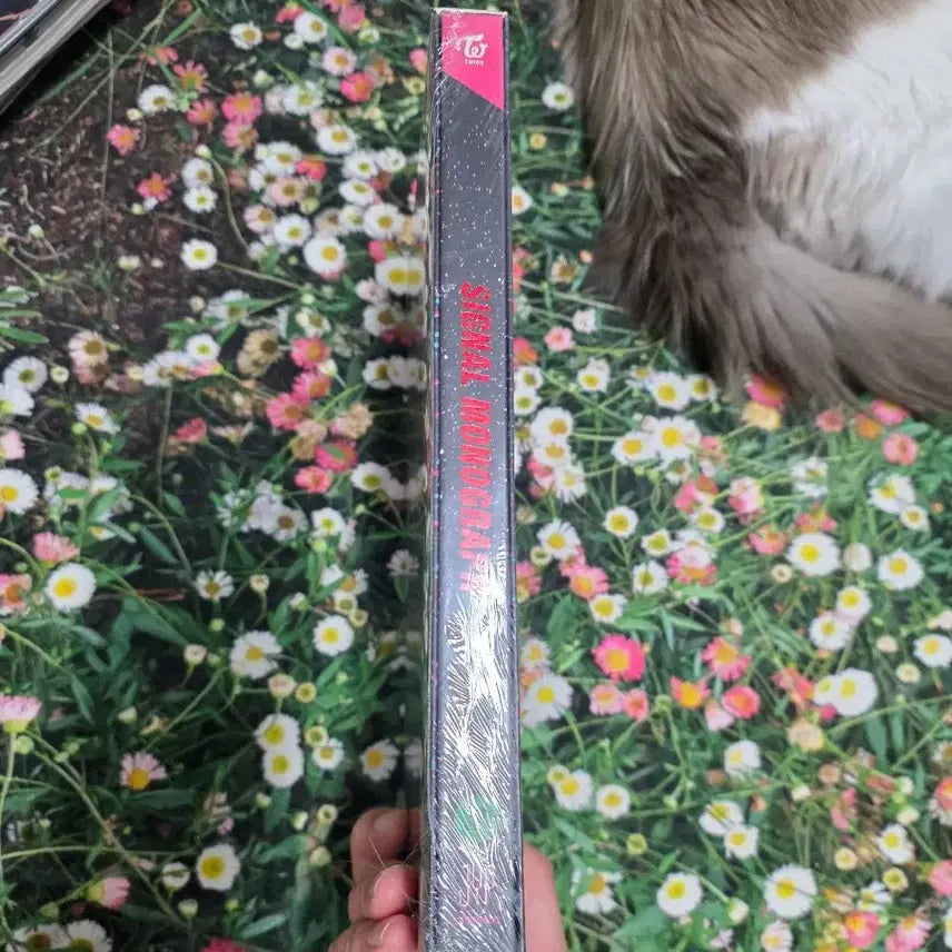 [SOLD OUT] [새제품]트와이스 monograph