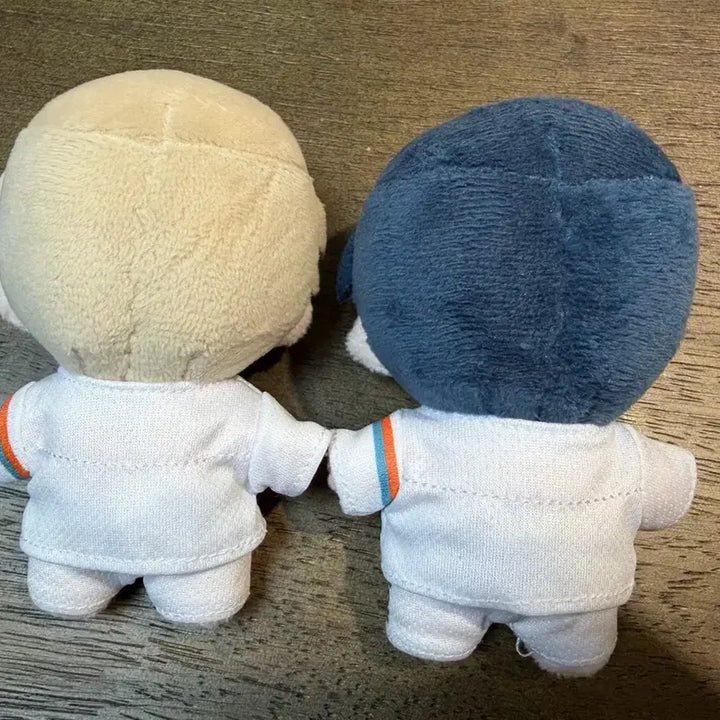 [BUNJANG] Puri Eomneun Namu Team Resin Poshiraegi Doll Bundle Set / 뿌리없는나무 뿌없나 팀레진 뽀시래기 인형 권희서 차태경 일괄