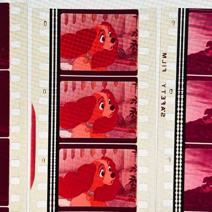 [BUNJANG] Lady and the Tramp Film Cut 6 Sheets / 레이디 앤 트램프 필름컷 6매 / 영화 필름