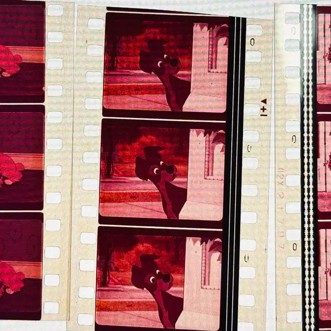 [BUNJANG] Lady and the Tramp Film Cut 6 Sheets / 레이디 앤 트램프 필름컷 6매 / 영화 필름