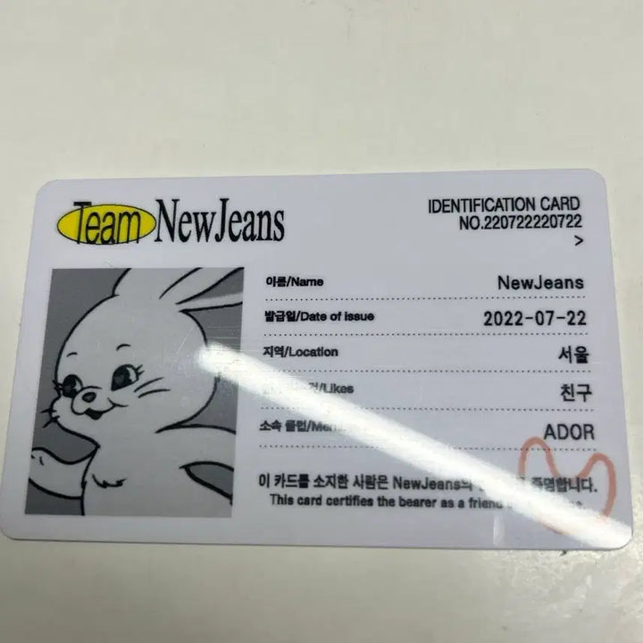 [BUNJANG] NewJeans Group ID Card / 뉴진스 단체 아이디카드