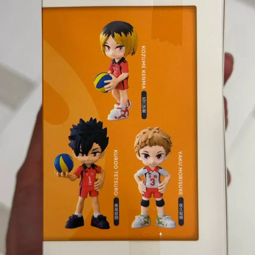 [BUNJANG] Haikyuu Yaku Figure / 하이큐 야쿠 팔버스