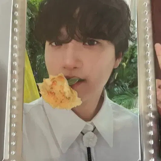 [BUNJANG] Lucy Band Bundle Set Photocard / 밴드 루시 LUCY 포카 일괄판매