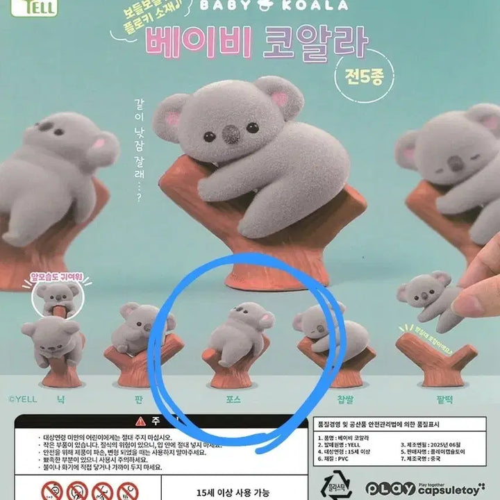 [BUNJANG] Baby Koala Gacha Figure Collection / 베이비 코알라 가챠 피규어