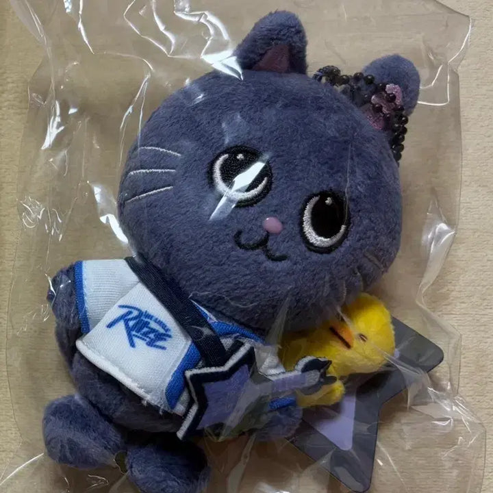 [BUNJANG] RIIZE LIRIZ Tonydak 10cm Plush Toy / 라이즈 리라즈 토냥덕 10cm 미개봉 새상품