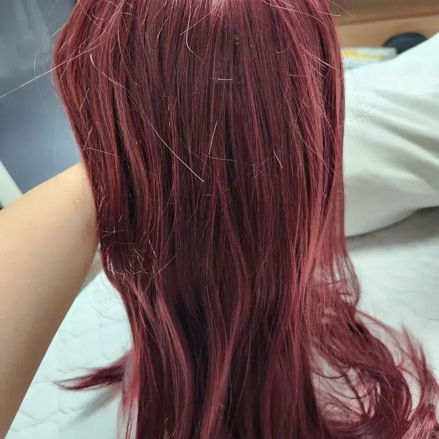 [BUNJANG] Burgundy Long Wig with Full Bangs Cosplay / 히메컷 롱 가발 풀뱅 앞머리 코스프레