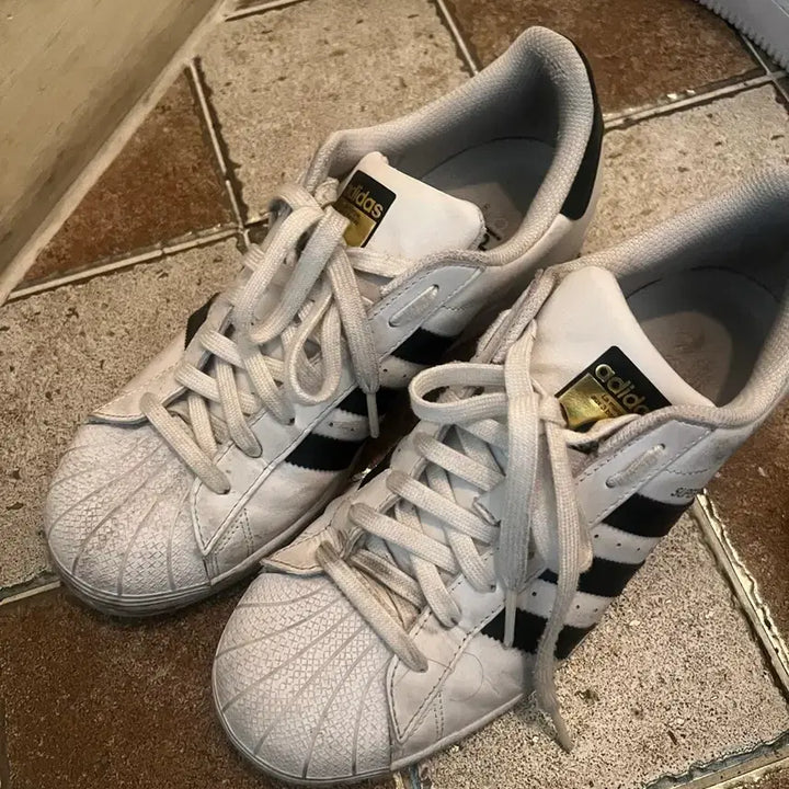 [BUNJANG] Adidas Superstar White Black Sneakers / 아디다스 슈퍼스타 팔아요