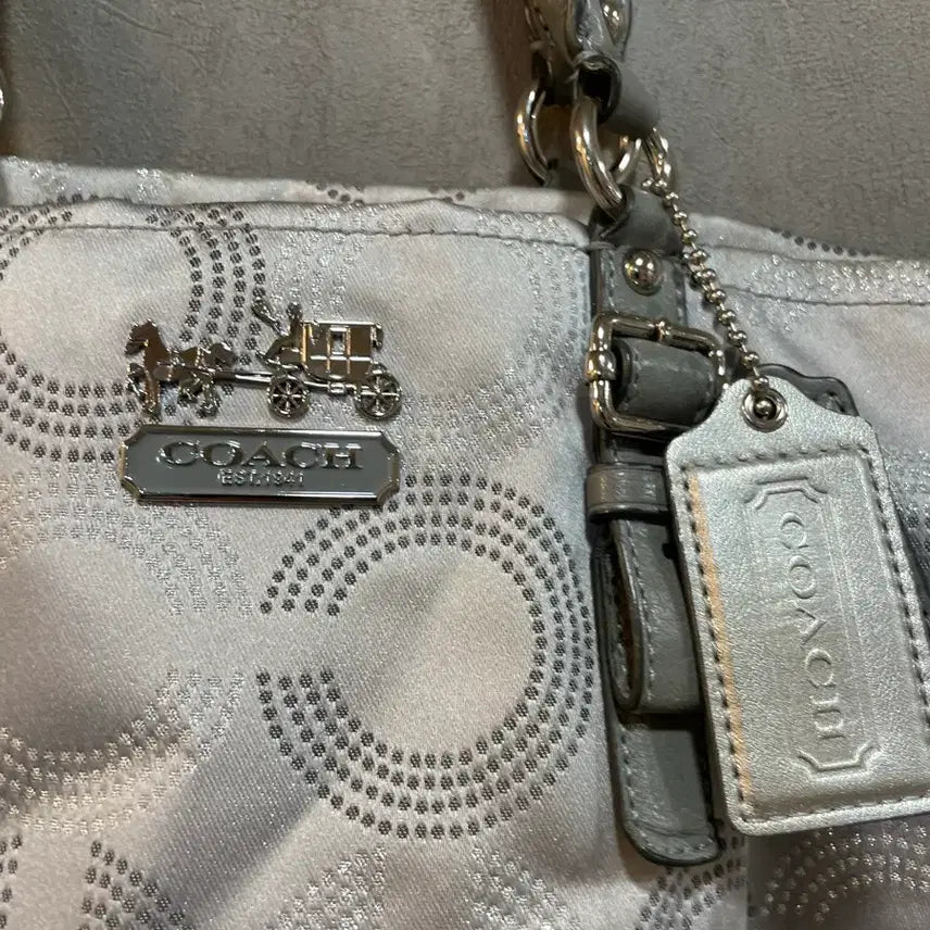 [BUNJANG] Coach Silver Pattern Tote Bag / 코치 실버 패턴 토트백 가방