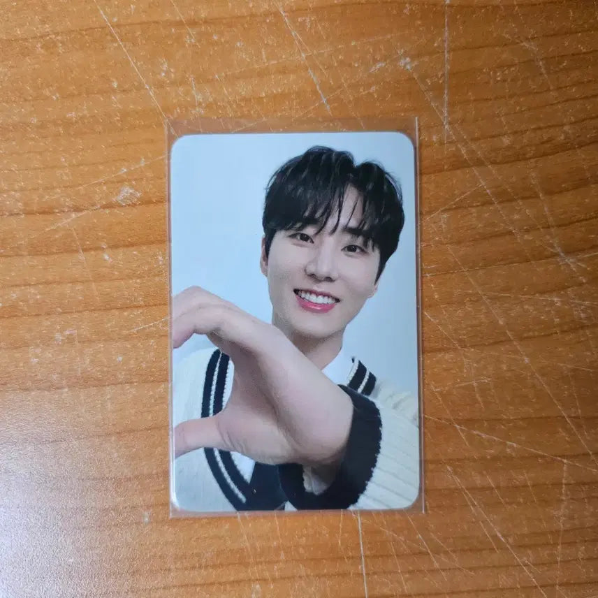 [BUNJANG] Day6 Young K Cherry Blossom Concert Photocard / 데이식스 영케이 벚꽃콘 웰쇼콘 양면포카 하트포카