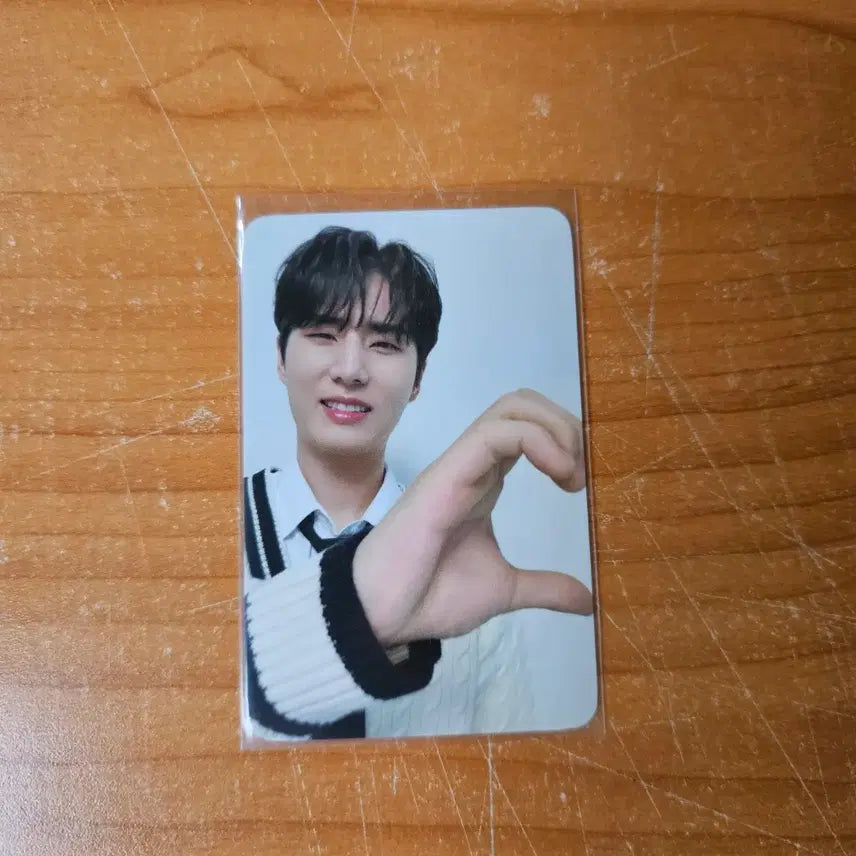 [BUNJANG] Day6 Young K Cherry Blossom Concert Photocard / 데이식스 영케이 벚꽃콘 웰쇼콘 양면포카 하트포카
