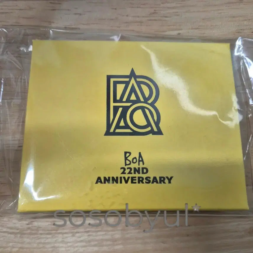 [SOLD OUT] (미개봉)보아 22주년 목걸이 세트