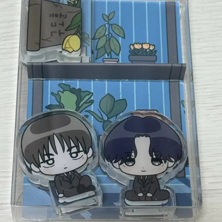 [BUNJANG] Yu Won Bul Byeon Acrylic Block Planter / 유원불변 아크릴블록 화분 미개봉