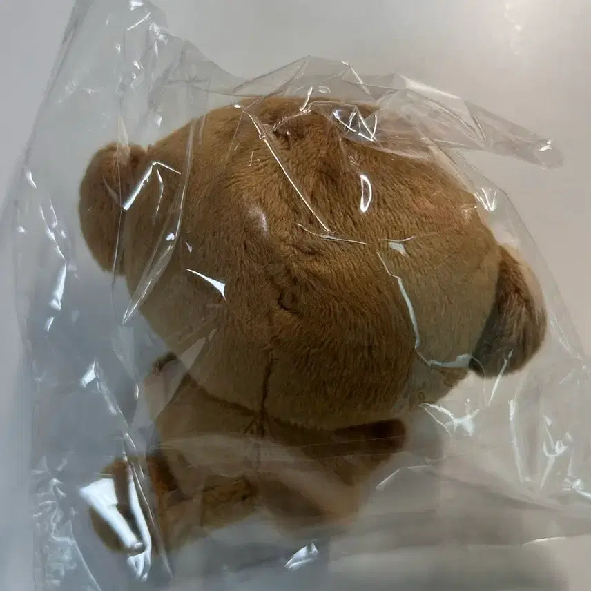 [SOLD OUT] 엔하이픈 정원 인형 쩡숭이 미개봉 양도