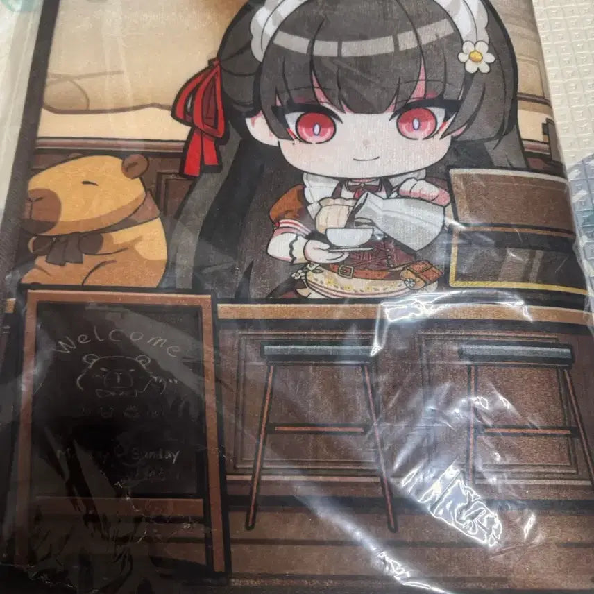 [BUNJANG] Myungjo Cafe Chisa Microfiber Rug Mat (Sealed) / 명조(띵조카페) 치사 극세사 러그 발매트 미개봉