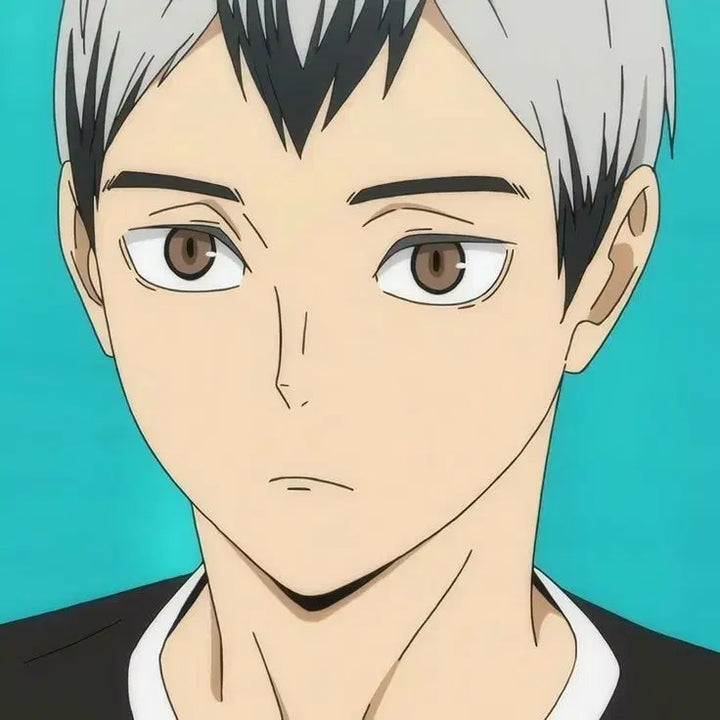 [BUNJANG] Haikyuu Shinsuke Kita Wig / 하이큐 키타 신스케 가발 판매합니다
