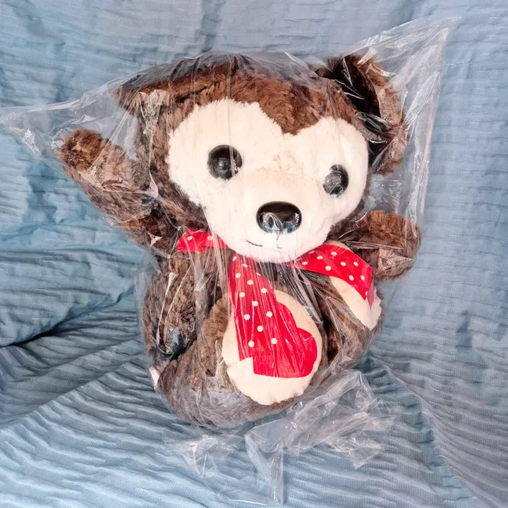 [BUNJANG] Amuse Classic Sweet Bear Chocolate Plush Toy / 어뮤즈 클래식 스위트 베어 쇼콜라 판매합니다