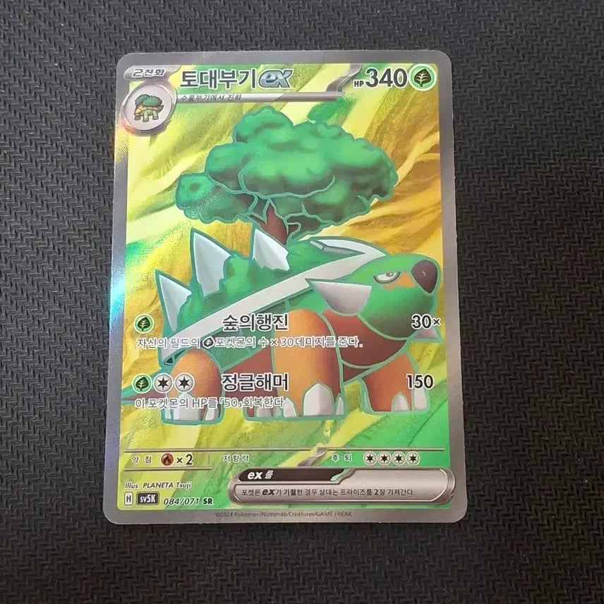 [BUNJANG] Pokemon Torterra EX SR Single Card / 포켓몬카드 싱글 토대부기 EX SR