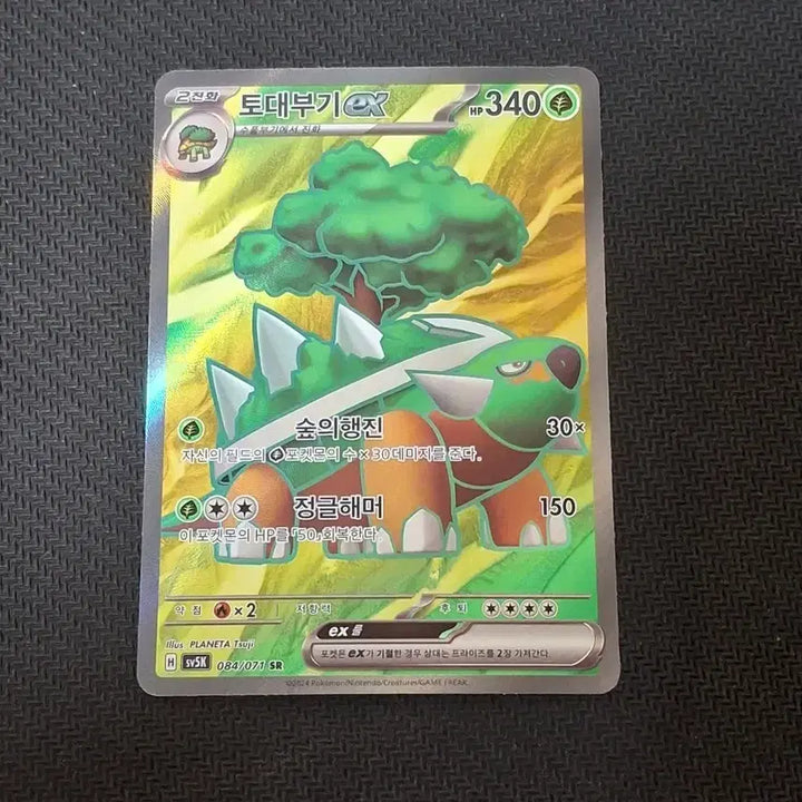 [BUNJANG] Pokemon Torterra EX SR Single Card / 포켓몬카드 싱글 토대부기 EX SR