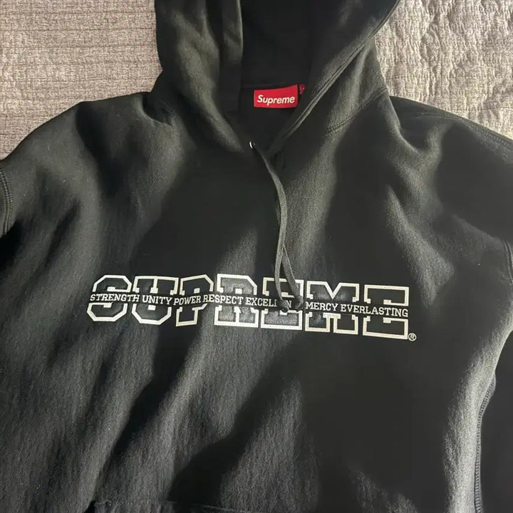[BUNJANG] Supreme Collegiate Acronym Hoodie XL / 슈프림 컬리지에이트 아크로님 후드 XL