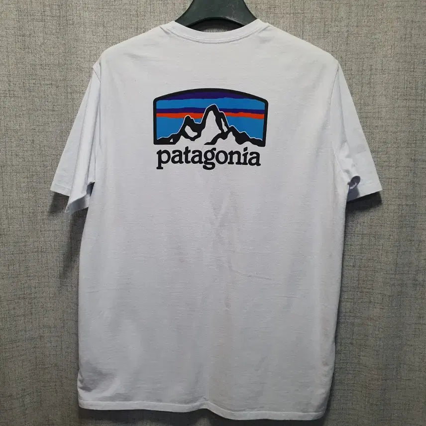 [BUNJANG] Patagonia Regular Fit White Round Short Sleeve T-shirt L / 파타고니아 레귤러핏 화이트 라운드 반팔티 L