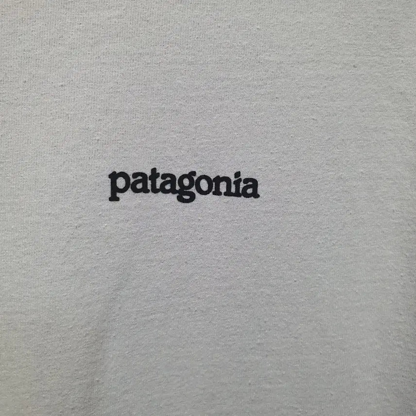 [BUNJANG] Patagonia Regular Fit White Round Short Sleeve T-shirt L / 파타고니아 레귤러핏 화이트 라운드 반팔티 L