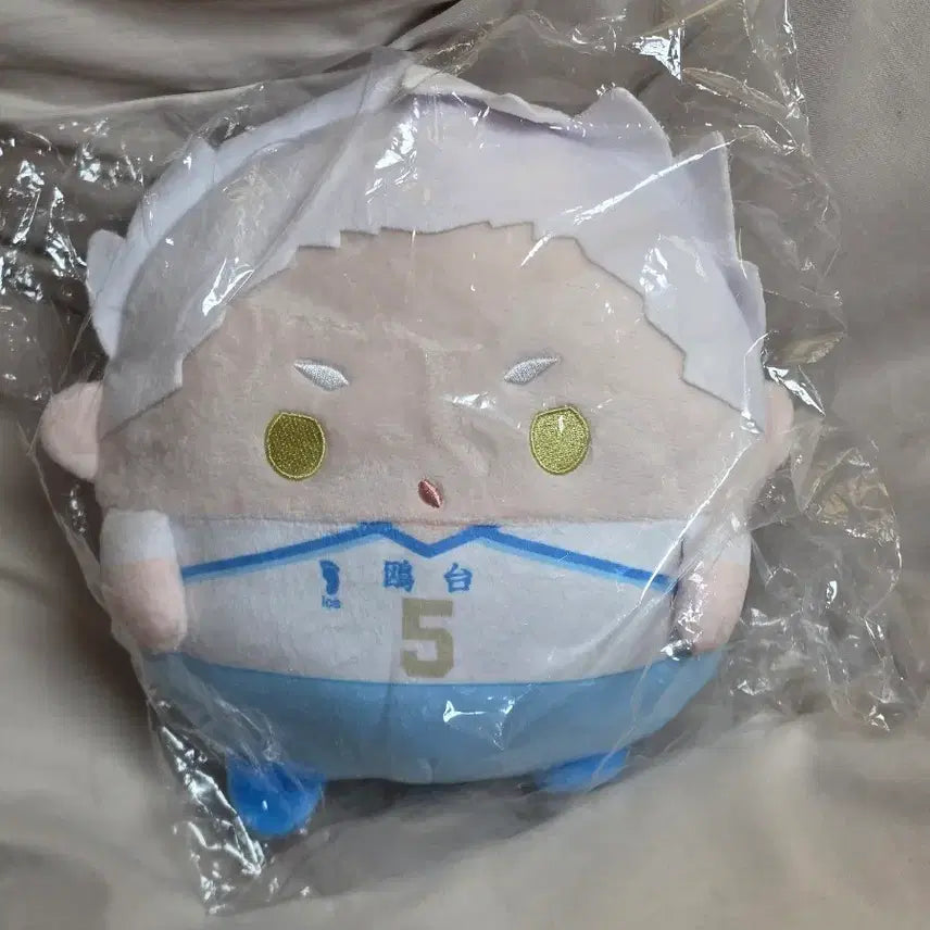 [BUNJANG] Haikyu Horitsu Hoshiumi Korai Plush Doll / 하이큐  빅후와코로링 후와쿠지 호스우미 코라이