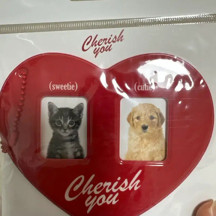 [BUNJANG] Bit by Bit Heart-Shaped Photocard Holder / 빗바이빗 하트모양 증사 홀더
