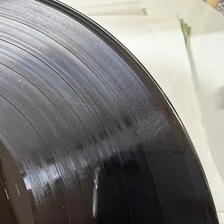 [SOLD OUT] 그 해 우리는 LP