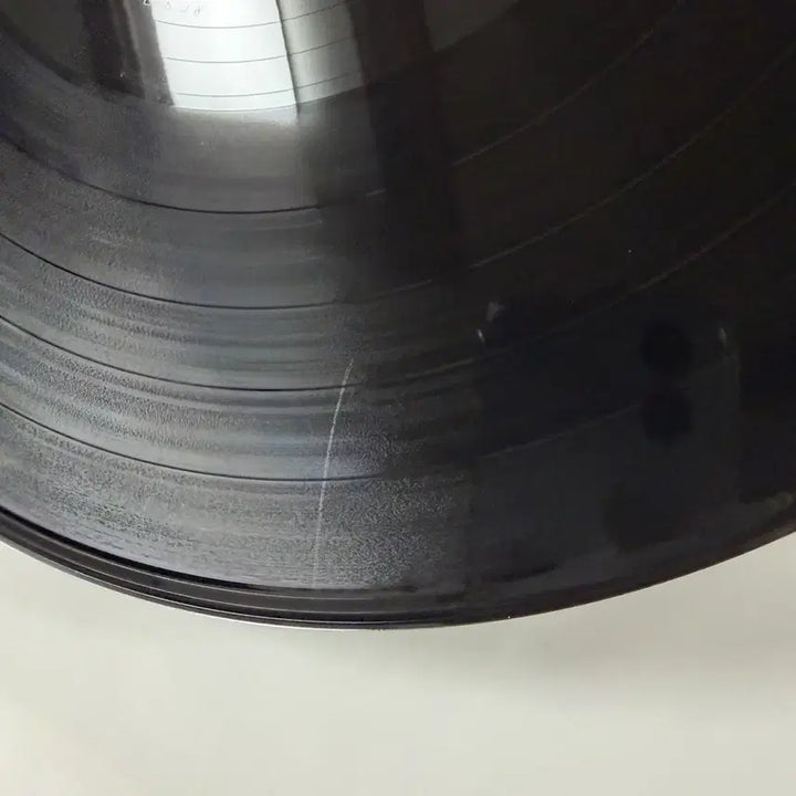 [SOLD OUT] 그 해 우리는 LP