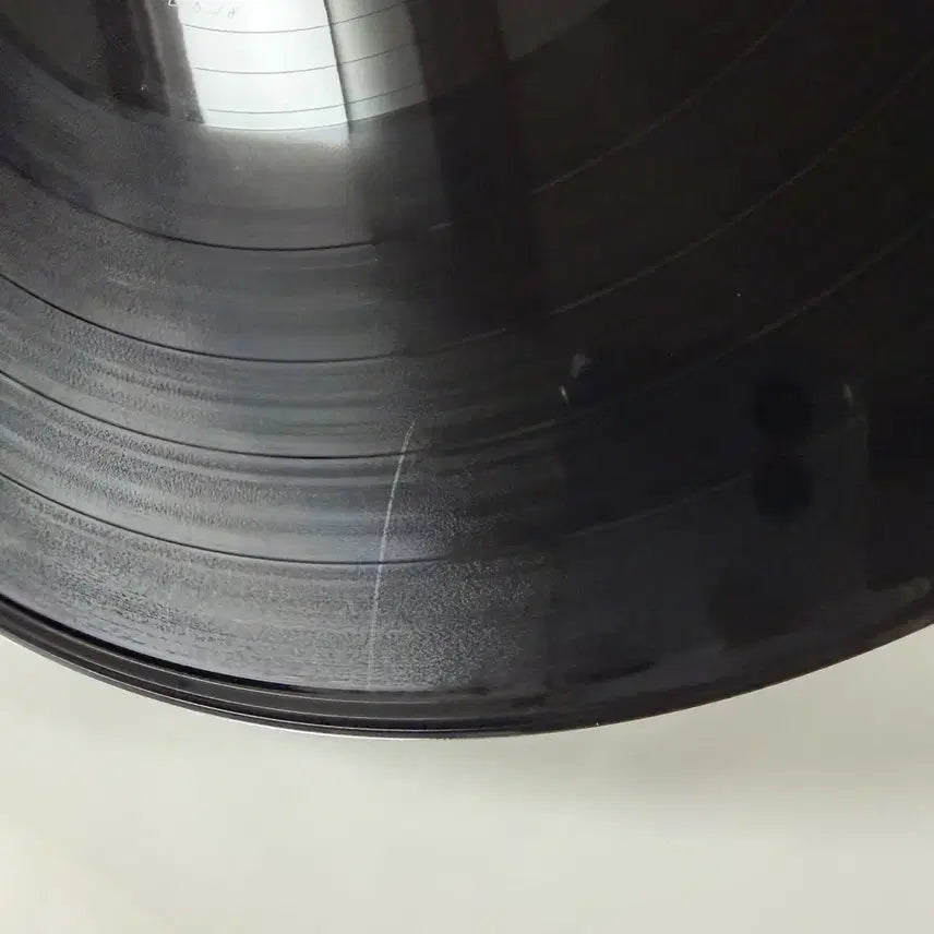 [SOLD OUT] 그 해 우리는 LP