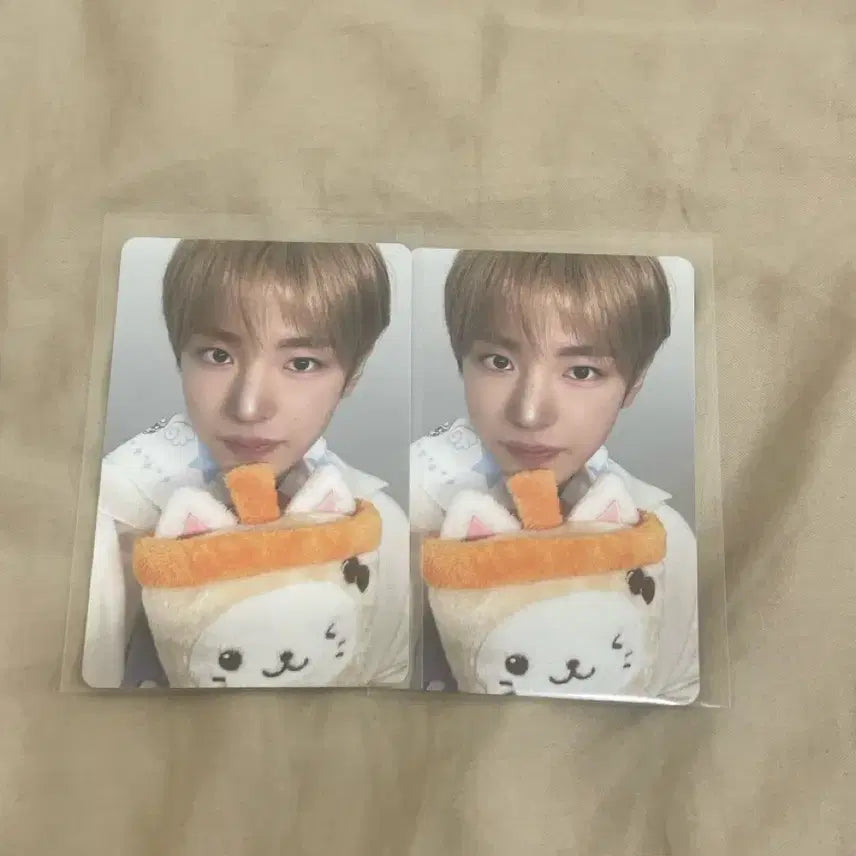 [BUNJANG] NCT WISH Yuushi Photocard / 엔시티위시 위시베이커리 유우시 포카
