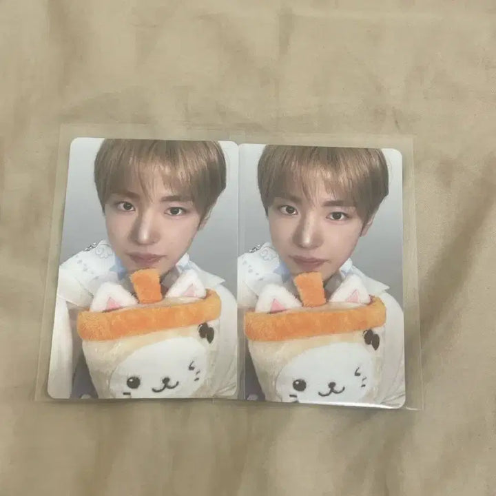 [BUNJANG] NCT WISH Yuushi Photocard / 엔시티위시 위시베이커리 유우시 포카