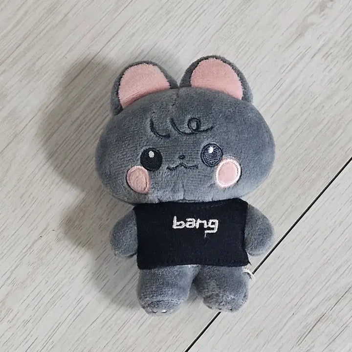 [BUNJANG] Stray Kids Bang Chan 10cm Doll / 스트레이키즈 스키즈 방찬 비공식 인형 10cm 비공굿 차니뽀
