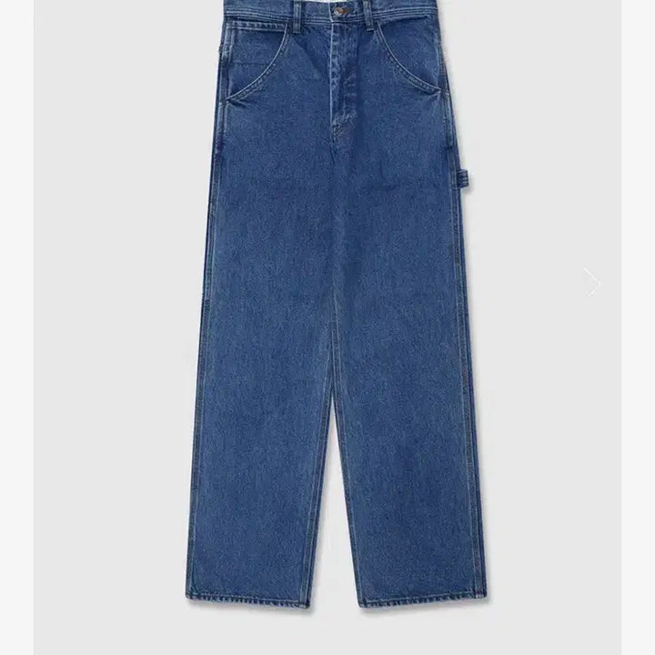 [BUNJANG] carpenter Denim Pants L사이즈 얼바닉30 / carpenter Denim Pants L사이즈 얼바닉30