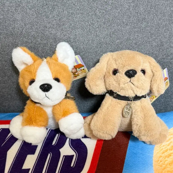[SOLD OUT] (일괄) 강아지 인형(키링) 팝니다