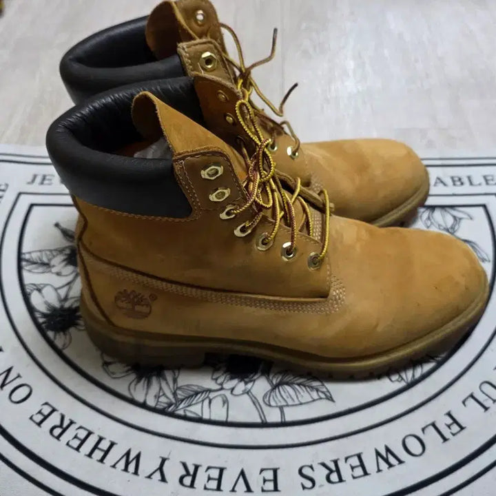 [BUNJANG] Timberland 6-Inch Waterproof Premium Boots / [270~275]팀버랜드 6인치 워터프루프 프리미엄부츠