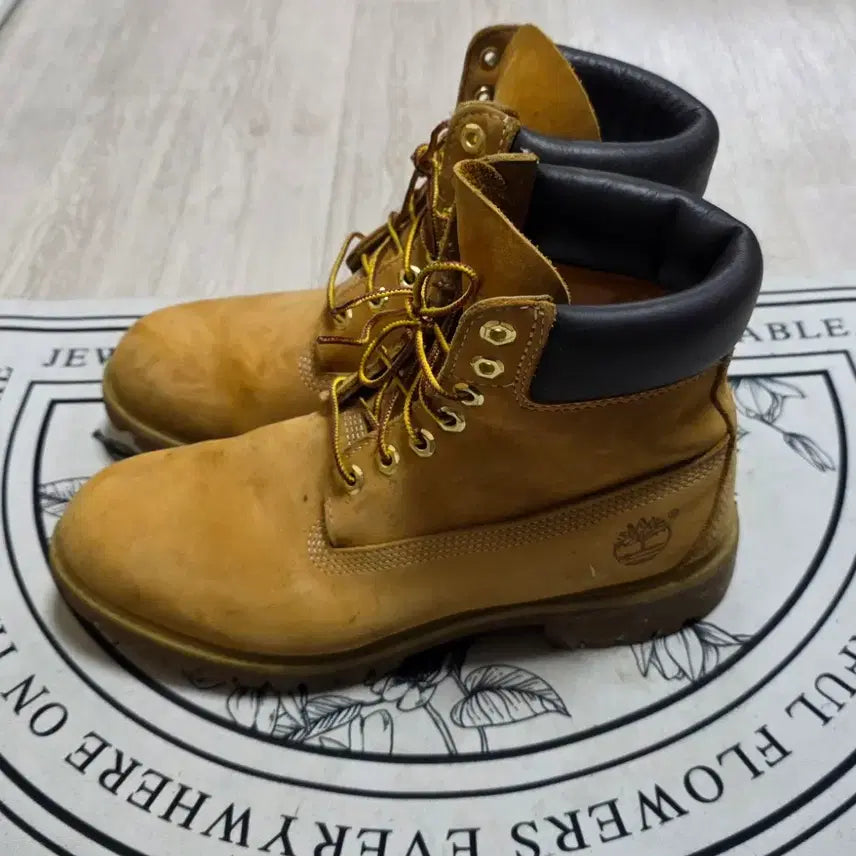 [BUNJANG] Timberland 6-Inch Waterproof Premium Boots / [270~275]팀버랜드 6인치 워터프루프 프리미엄부츠