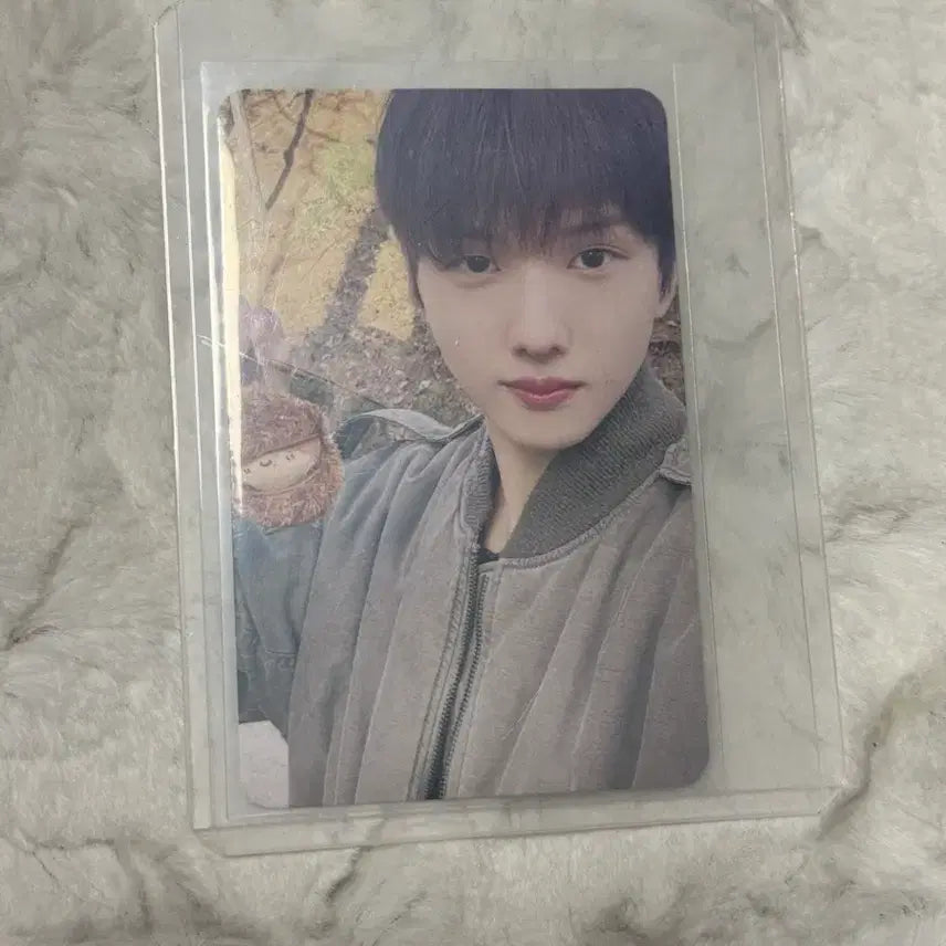 [SOLD OUT] (공식포카덤)Nctdream 엔시티드림 군밤맨 지성 인형 풀세트