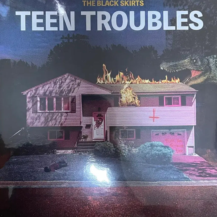 [BUNJANG] Black Skirts Teen Troubles LP / Teen troubles lp